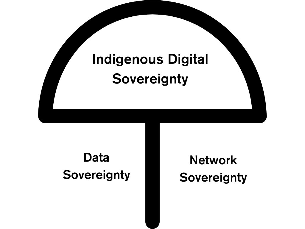 Indigenous Digital Sovereignty Defined | American Indian Policy Institute